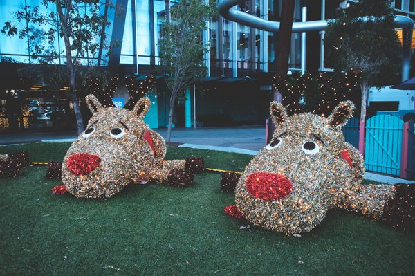 Quel animal symbolise la magie ?